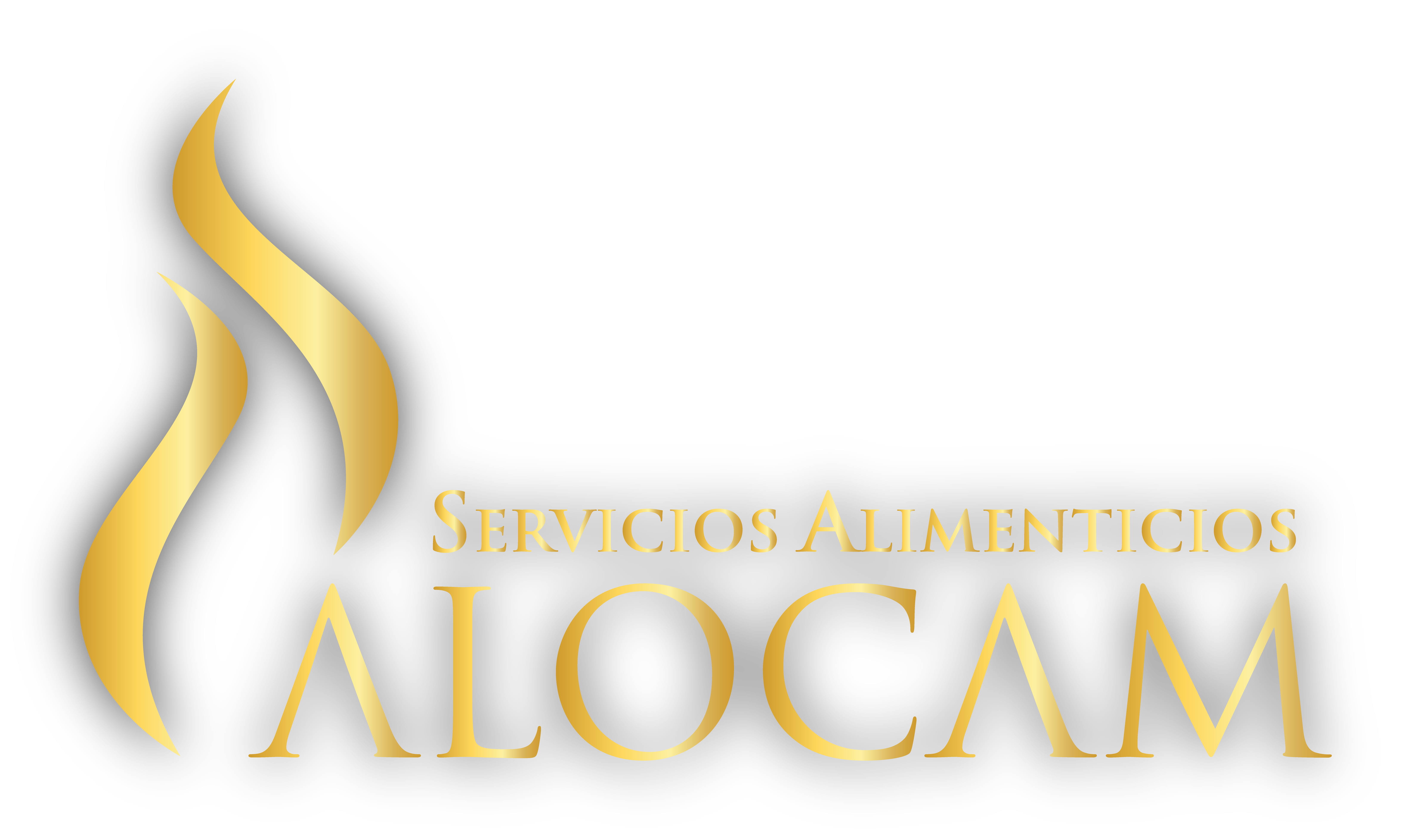 ALOCAM Logo